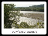 Dunajec powyżej Nowego Sącza. Środowisko lęgowe rybitwy rzecznej, mewy pospolitej, białogłowej oraz piskliwca. - fot. Romuald Mikusek